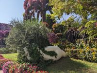 67. Miracle Gardens, Dubai &ndash; &copy; Teresa Rumpel (Eberhardt TRAVEL)