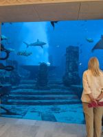 81. Hotel Atlantis, Palme Dubai &ndash; &copy; Teresa Rumpel (Eberhardt TRAVEL)