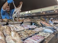 155. Fischmarkt Abu Dhabi &ndash; &copy; Teresa Rumpel (Eberhardt TRAVEL)