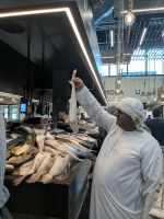 156. Fischmarkt Abu Dhabi &ndash; &copy; Teresa Rumpel (Eberhardt TRAVEL)