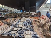 157. Fischmarkt Abu Dhabi &ndash; &copy; Teresa Rumpel (Eberhardt TRAVEL)