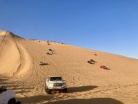 Festival Mureeb Dunes &ndash; &copy; Mareike Schmidt (Eberhardt TRAVEL)