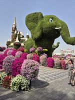 Miracle Garden