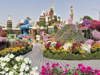 Miracle Garden