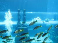 Atlantis Hotel - Wasserpark &ndash; &copy; Jacob Spangenberg (Eberhardt TRAVEL)
