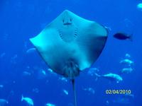 Hallo... Wer bist du denn? &ndash; &copy; Nicole Kunath (Eberhardt TRAVEL)