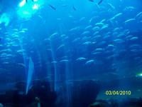 Unterwasser-Tunnel &ndash; &copy; Nicole Kunath (Eberhardt TRAVEL)