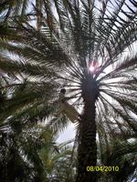 &copy; Nicole Kunath (Eberhardt TRAVEL)