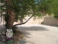Bur Dubai &ndash; &copy; Stefanie Knisse (Eberhardt TRAVEL)