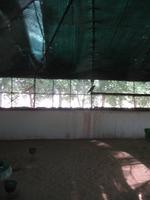 Abu Dhabi Falcon Hospital &ndash; &copy; Stefanie Knisse (Eberhardt TRAVEL)