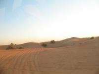 Wüstensafari Dubai &ndash; &copy; Stefanie Knisse (Eberhardt TRAVEL)