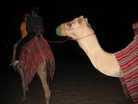 Wüstensafari Dubai &ndash; &copy; Stefanie Knisse (Eberhardt TRAVEL)