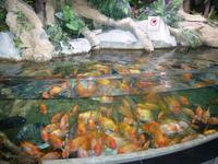 Dubai Mall &ndash; &copy; Sylvia Sann (Eberhardt TRAVEL)