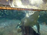 Dubai Mall &ndash; &copy; Sylvia Sann (Eberhardt TRAVEL)