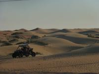 Wüstensafari &ndash; &copy; Sylvia Sann (Eberhardt TRAVEL)