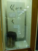 Al Ain Nationalmuseum &ndash; &copy; Sylvia Sann (Eberhardt TRAVEL)