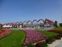 Miracle Garden Dubai &ndash; &copy; Sylvia Sann (Eberhardt TRAVEL)