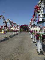 Miracle Garden Dubai &ndash; &copy; Sylvia Sann (Eberhardt TRAVEL)
