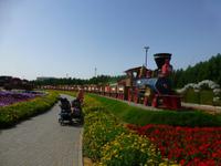 Miracle Garden Dubai &ndash; &copy; Sylvia Sann (Eberhardt TRAVEL)