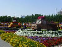 Miracle Garden Dubai &ndash; &copy; Sylvia Sann (Eberhardt TRAVEL)