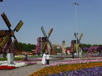 Miracle Garden Dubai &ndash; &copy; Sylvia Sann (Eberhardt TRAVEL)