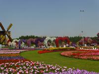 Miracle Garden Dubai &ndash; &copy; Sylvia Sann (Eberhardt TRAVEL)