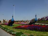 Miracle Garden Dubai &ndash; &copy; Sylvia Sann (Eberhardt TRAVEL)