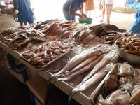 Sharjah Fischmarkt &ndash; &copy; Vicky Kern (Eberhardt TRAVEL)
