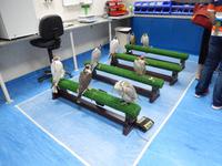 Falkenklinik Abu Dhabi &ndash; &copy; Vicky Kern (Eberhardt TRAVEL)