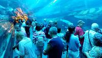 Dubai Mall - Rundreise Arabische Emirate &ndash; &copy; Benjamin Rodriguez Manzanares (Eberhardt TRAVEL)