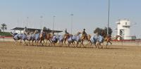 Ausflug nach Al Ain - Rundreise Arabische Emirate &ndash; &copy; Benjamin Rodriguez Manzanares (Eberhardt TRAVEL)