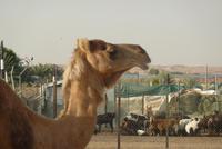 &copy; Doreen Gerlach (Eberhardt TRAVEL)