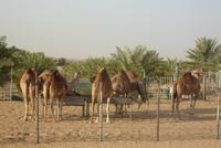 &copy; Doreen Gerlach (Eberhardt TRAVEL)