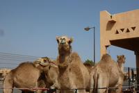 &copy; Doreen Gerlach (Eberhardt TRAVEL)