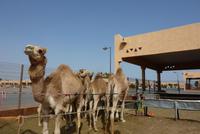 &copy; Doreen Gerlach (Eberhardt TRAVEL)