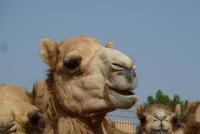 &copy; Doreen Gerlach (Eberhardt TRAVEL)