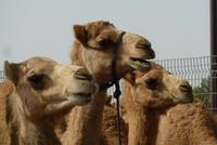 &copy; Doreen Gerlach (Eberhardt TRAVEL)