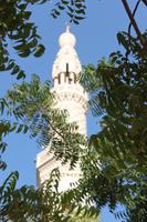 IMG_3976_Jumeirah Moschee &ndash; &copy; Alice Teipelke (Eberhardt TRAVEL)