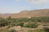 IMG_4202_Bithna-Fort Fujairah &ndash; &copy; Alice Teipelke (Eberhardt TRAVEL)