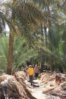 IMG_4240_Besuch einer Oase Al Ain &ndash; &copy; Alice Teipelke (Eberhardt TRAVEL)