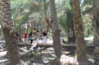 IMG_4241_Besuch einer Oase Al Ain &ndash; &copy; Alice Teipelke (Eberhardt TRAVEL)