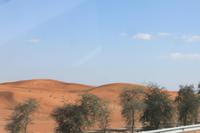 IMG_4261_Heimfahrt durch die Wueste &ndash; &copy; Alice Teipelke (Eberhardt TRAVEL)