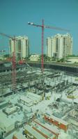 Baustelle auf der Palme &ndash; &copy; Heike Meinhold (Eberhardt TRAVEL)