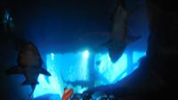 Aquarium &ndash; &copy; Heike Meinhold (Eberhardt TRAVEL)