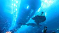 Aquarium &ndash; &copy; Heike Meinhold (Eberhardt TRAVEL)