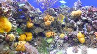 im Zoo &ndash; &copy; Heike Meinhold (Eberhardt TRAVEL)