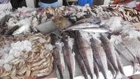 Fischmarkt &ndash; &copy; Heike Meinhold (Eberhardt TRAVEL)