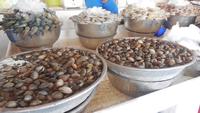 Fischmarkt &ndash; &copy; Heike Meinhold (Eberhardt TRAVEL)