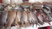 Fischmarkt &ndash; &copy; Heike Meinhold (Eberhardt TRAVEL)