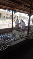 Fischmarkt &ndash; &copy; Heike Meinhold (Eberhardt TRAVEL)